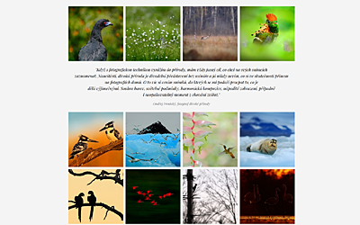NatureArt.cz